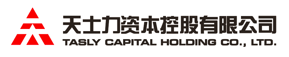 壹定发资本控股有限公司